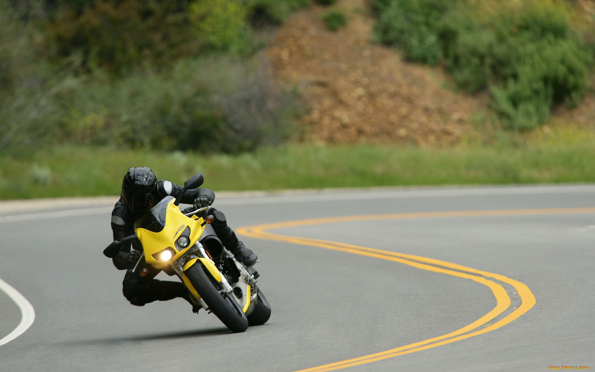 , buell